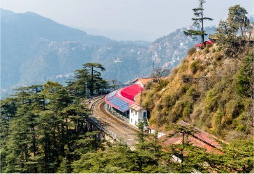 Shimla Kasauli 